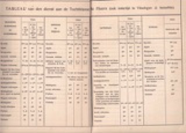 Pagina Tableau van den dienst aan de Tuchtklasse te Hoorn, (ook indertijd te Vlissingen ± hetzelfde)